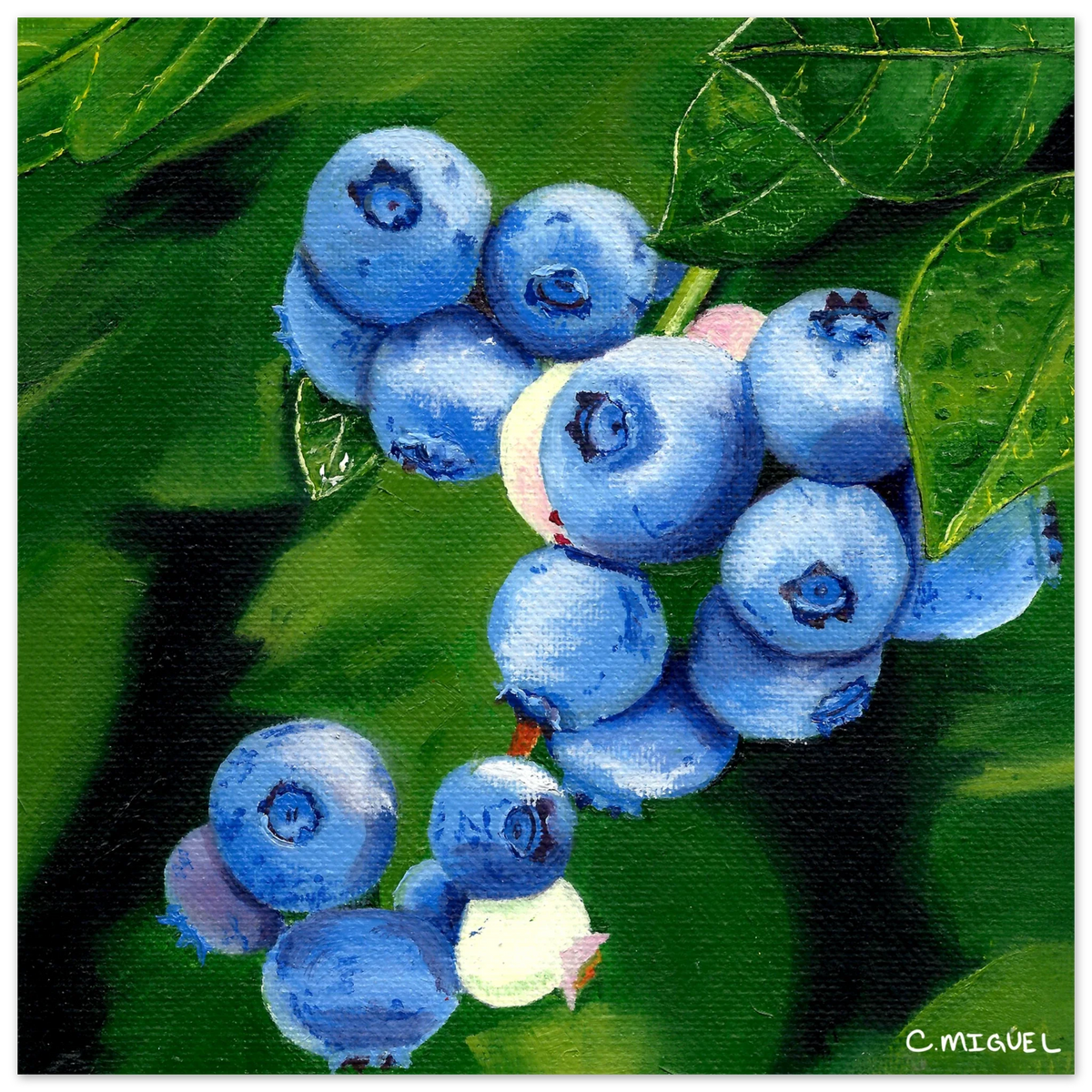 Art Prints