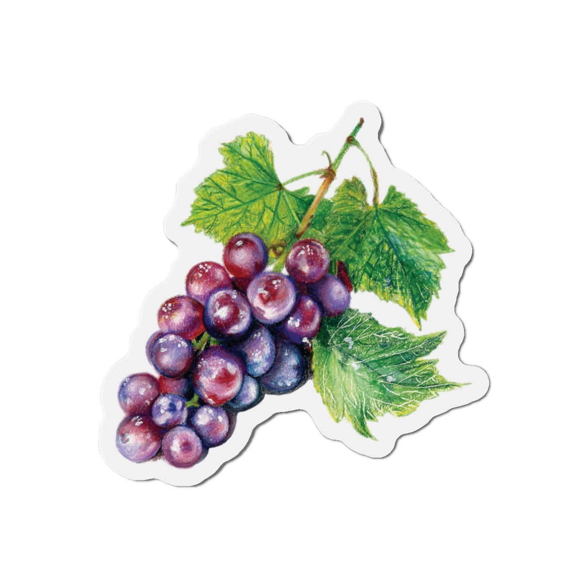 Grape Cluster Die-Cut Magnet — Watercolor Fruit Refrigerator Sticker