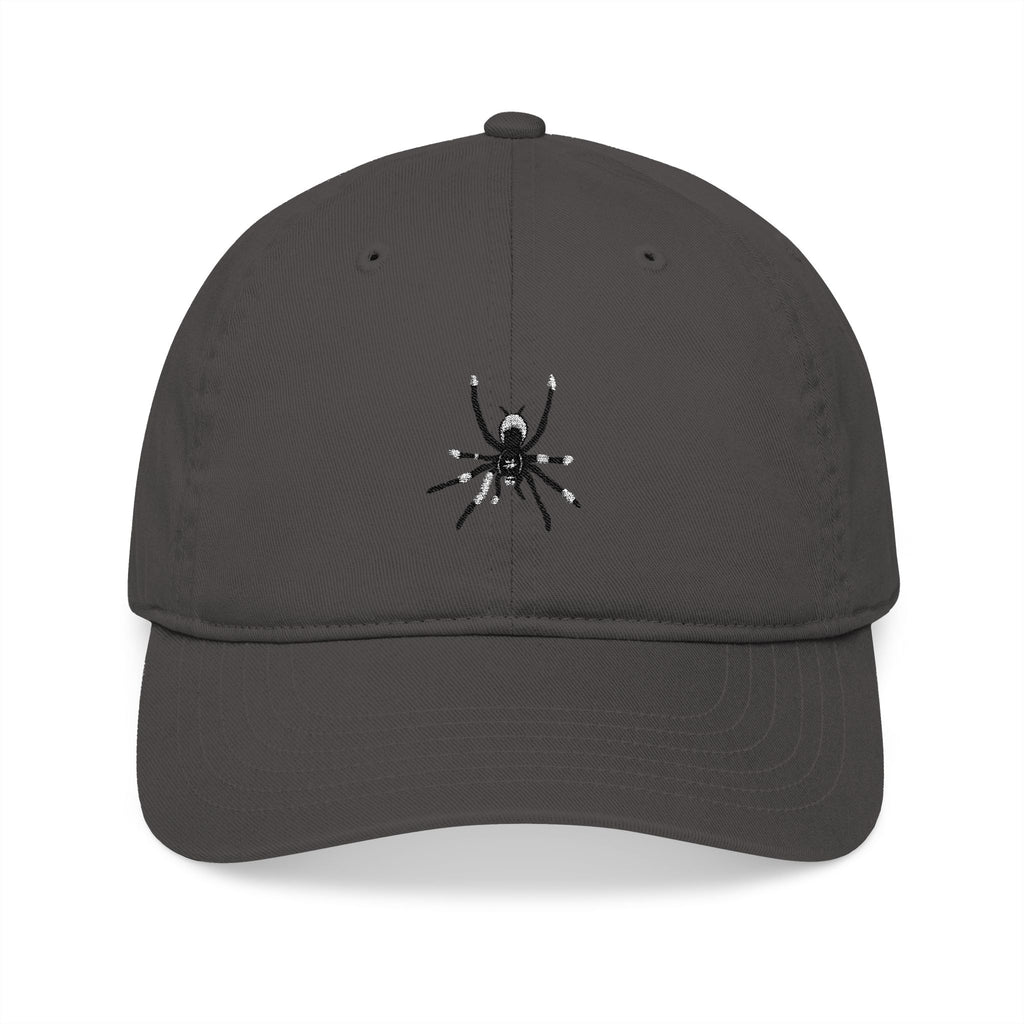 Embroidered Spider Organic Baseball Cap – Minimal Gothic Dad Hat