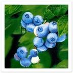 1d848f93-085a-4d55-99f4-804150bc2f34