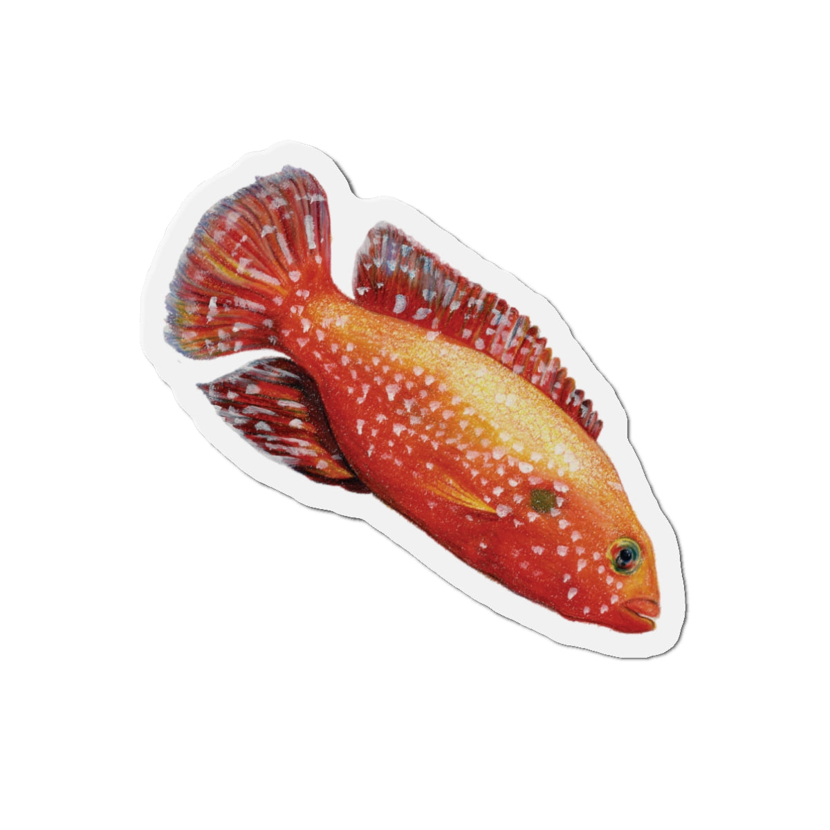 Fish Die-Cut Magnet — Colorful Orange Reef Fish Refrigerator Magnet