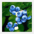755e6146-f6d8-4efc-af38-6da77cc30ed9