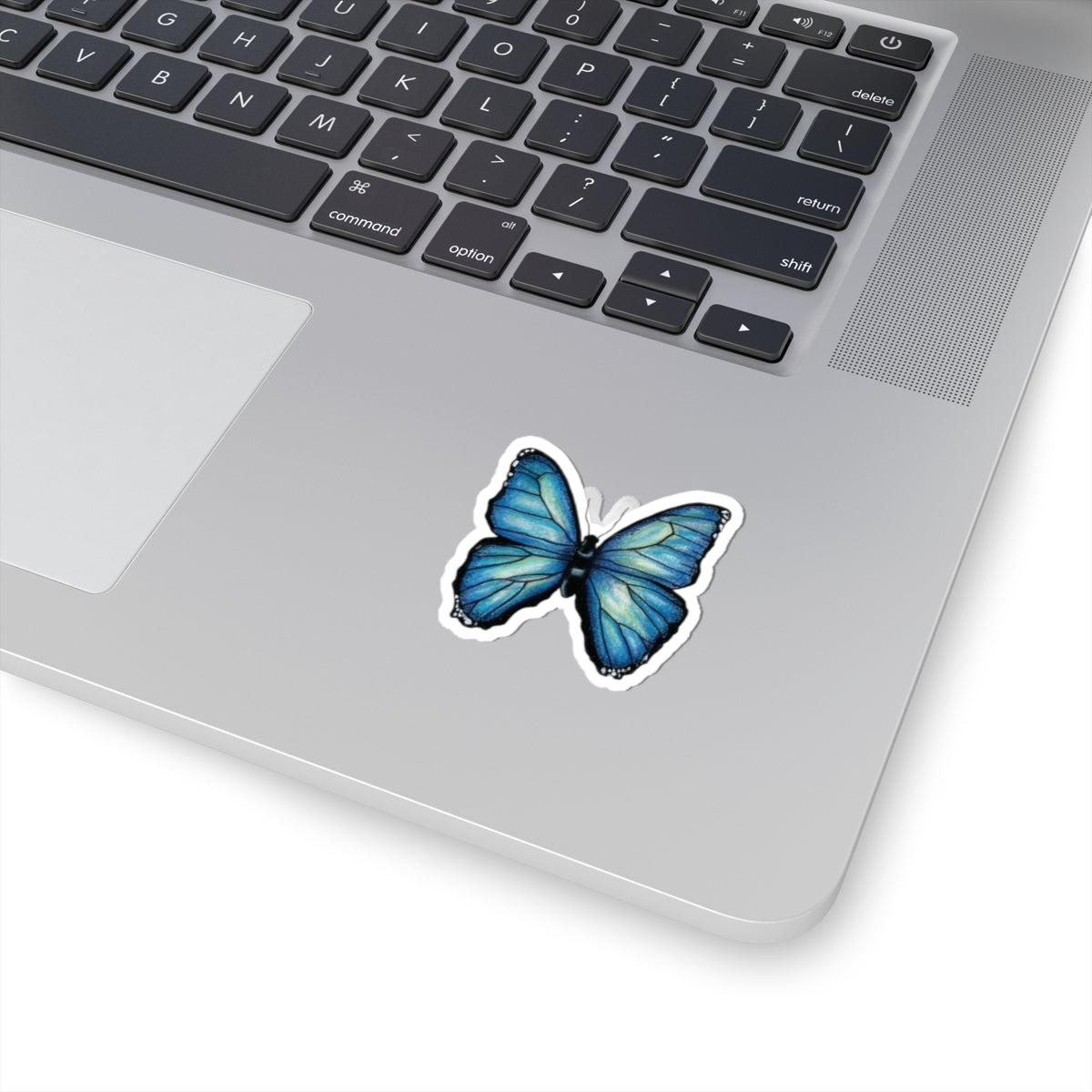 Blue Butterfly Sticker