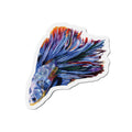 Betta Fish Die-Cut Magnet — Colorful Aquarium Fish Fridge Magnet
