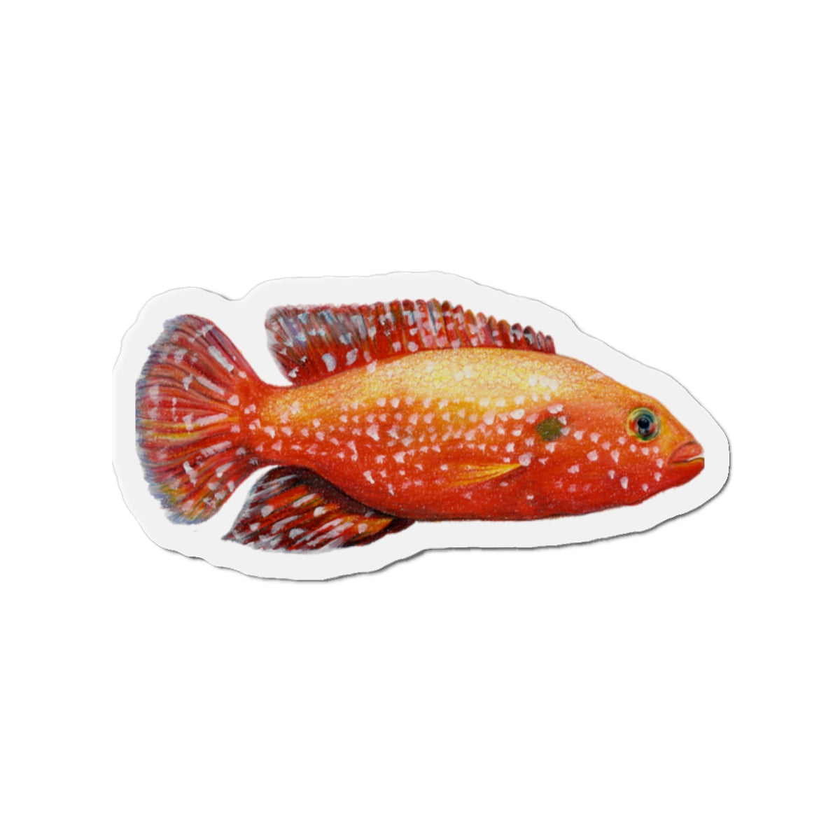 Orange Reef Fish Die-Cut Magnet — Colorful Tropical Fish Refrigerator Magnet
