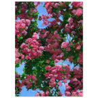 b8ad9498-aaf9-4143-a0e3-bb582b0d636a